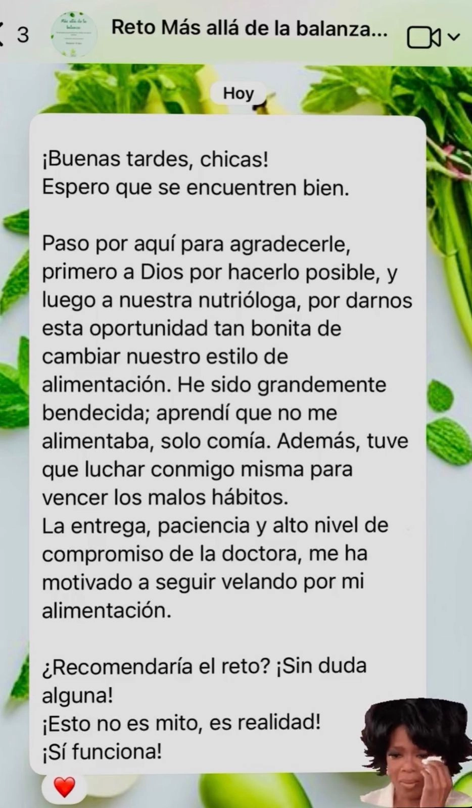 Galeria 11